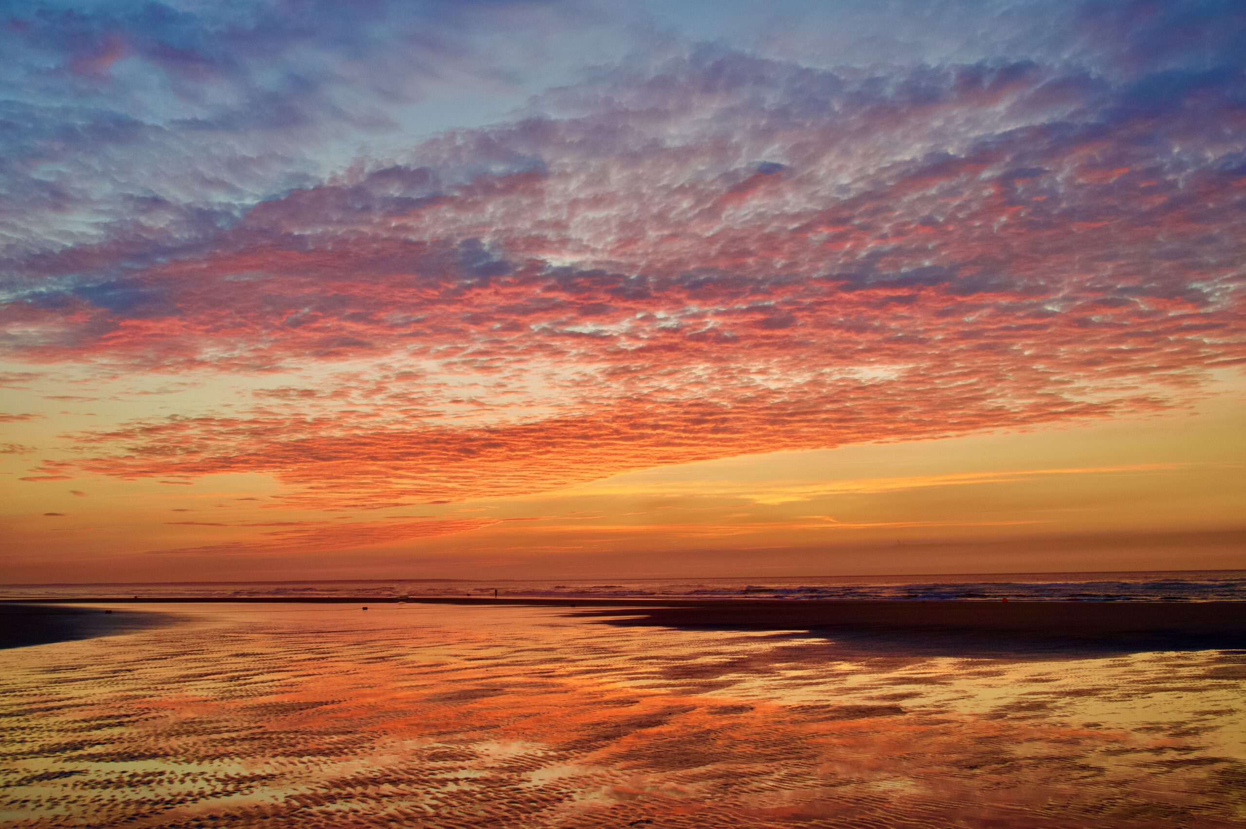 Pink Blossoms Resort | Family Resort in Ogunquit Maine